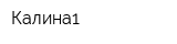 Калина1