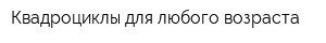 Квадроциклы для любого возраста