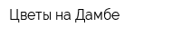 Цветы на Дамбе