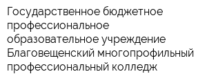 Государственное бюджетное профессиональное образовательное учреждение Благовещенский многопрофильный профессиональный колледж