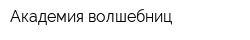Академия волшебниц