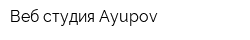 Веб-студия Ayupov