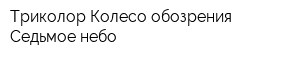 Триколор Колесо обозрения Седьмое небо