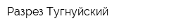 Разрез Тугнуйский