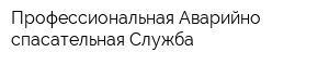 Профессиональная Аварийно-спасательная Служба