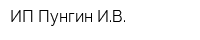 ИП Пунгин ИВ
