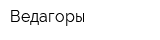 Ведагоры