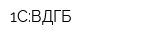 1С:ВДГБ