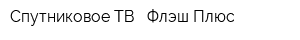 Спутниковое ТВ - Флэш-Плюс