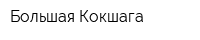 Большая Кокшага