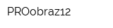 PROobraz12