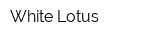 White Lotus