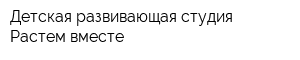 Детская развивающая студия Растем вместе