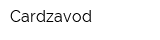 Cardzavod