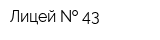 Лицей   43