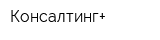 Консалтинг+