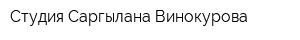 Студия Саргылана Винокурова