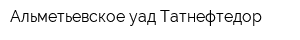 Альметьевское уад Татнефтедор