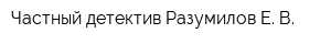 Частный детектив Разумилов Е В