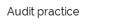 Audit practice