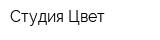 Студия Цвет