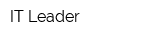 IT Leader