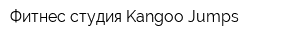 Фитнес-студия Kangoo Jumps