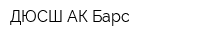 ДЮСШ АК Барс