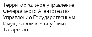 Территориальное управление Федерального Агентства по Управлению Государственным Имуществом в Республике Татарстан
