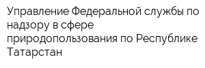 Управление Федеральной службы по надзору в сфере природопользования по Республике Татарстан