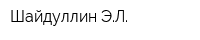 Шайдуллин ЭЛ