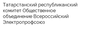 Татарстанский республиканский комитет Общественное объединение Всероссийский Электропрофсоюз