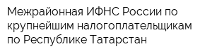 Межрайонная ИФНС России по крупнейшим налогоплательщикам по Республике Татарстан