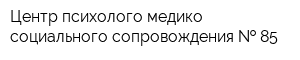 Центр психолого-медико-социального сопровождения   85