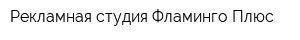 Рекламная студия Фламинго-Плюс