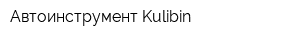Автоинструмент Kulibin