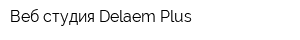 Веб студия Delaem Plus