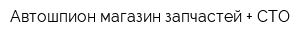 Автошпион магазин запчастей + СТО