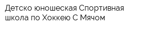 Детско-юношеская Спортивная школа по Хоккею С Мячом