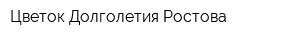 Цветок Долголетия Ростова
