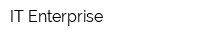 IT Enterprise