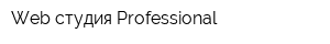 Web-студия Professional