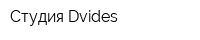 Студия Dvides