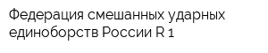Федерация смешанных ударных единоборств России R-1