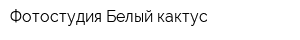 Фотостудия Белый кактус