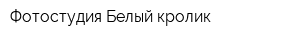 Фотостудия Белый кролик
