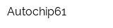 Autochip61