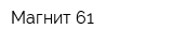 Магнит 61