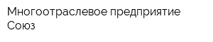 Многоотраслевое предприятие Союз