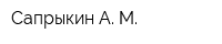 Сапрыкин А М